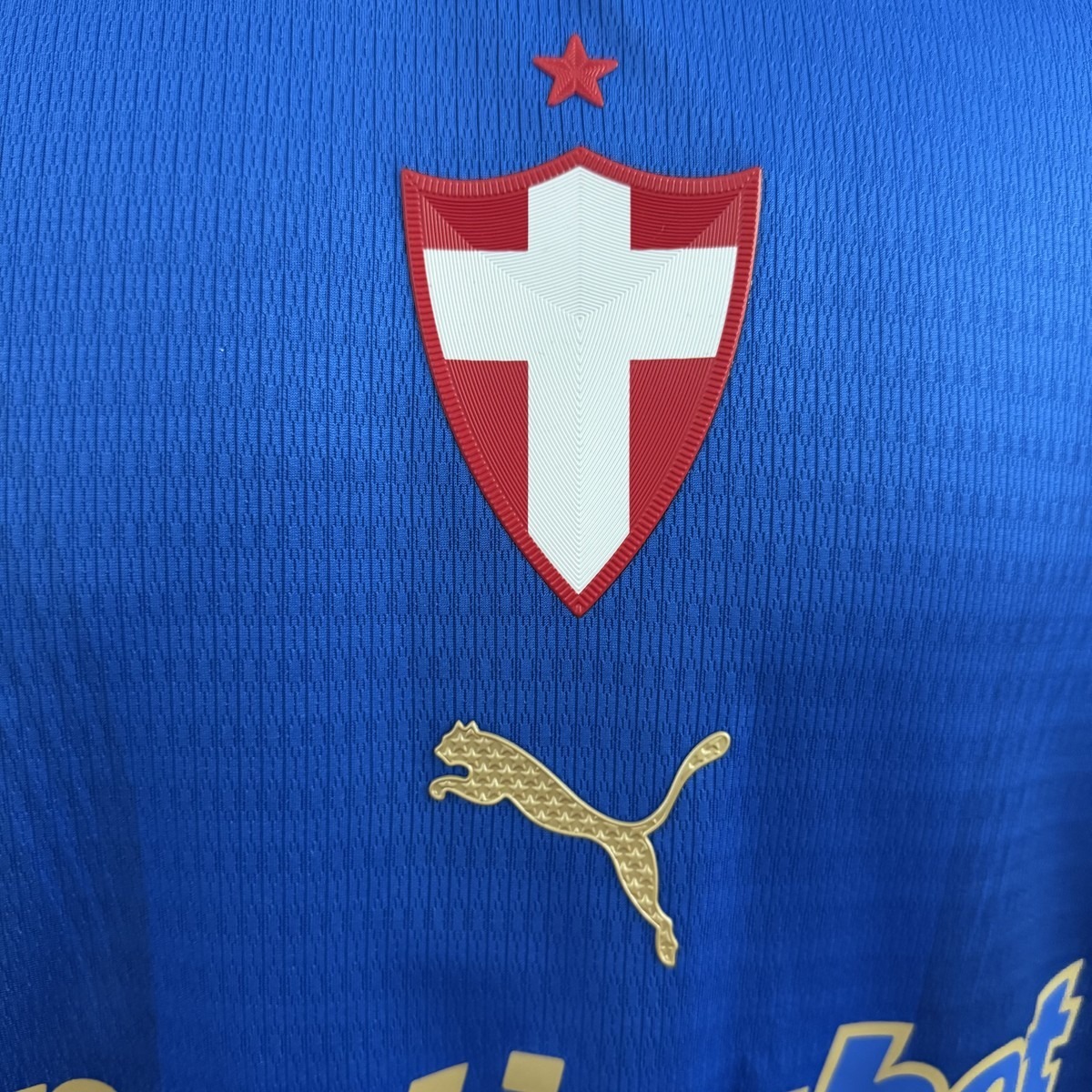 2026/27 Palmeiras Second Away Jersey Player Version
