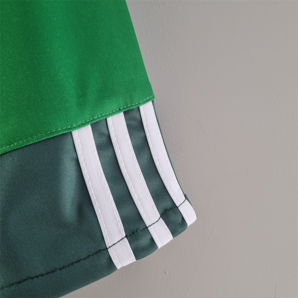 Retro 2010/11 Palmeiras Home jersey Fan Version