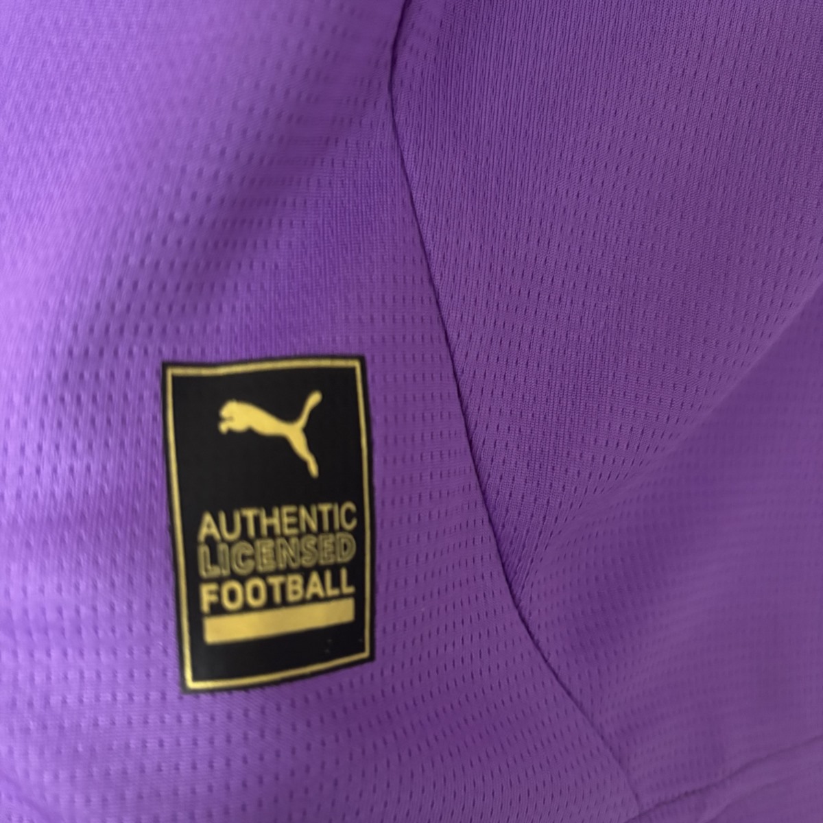 25/26 Dortmund Special Edition Purple Jersey Fan Version
