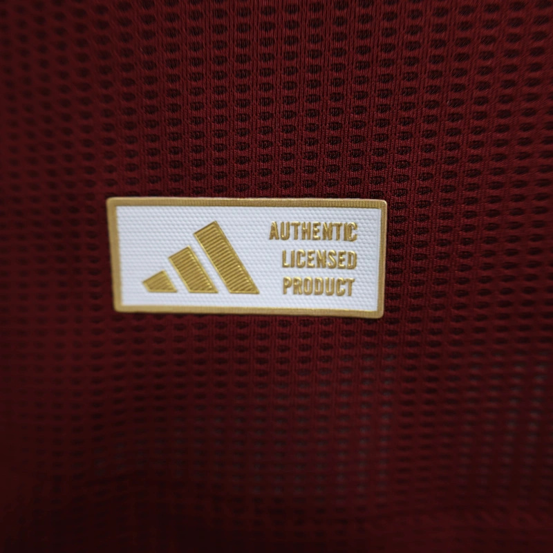 24/25 Aston Villa Home Jersey Player Version