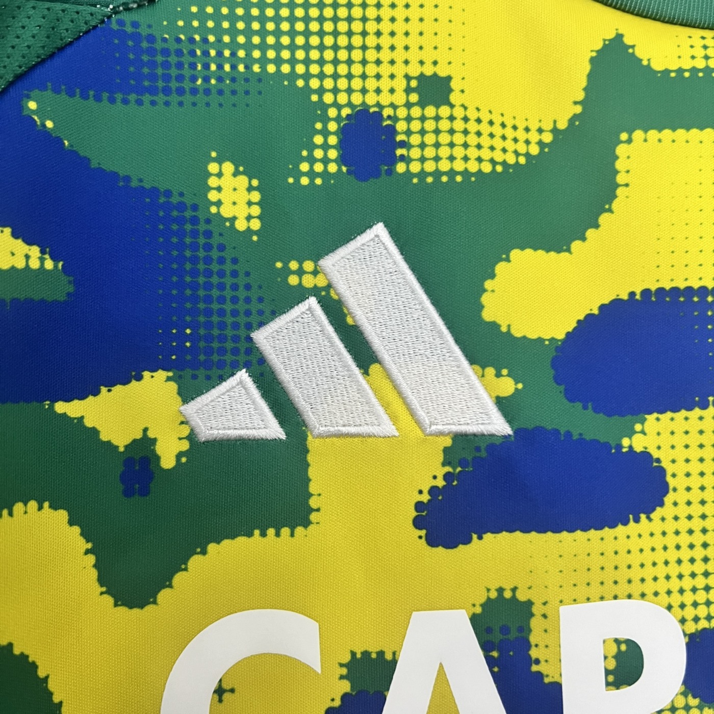 24/25 Real Zaragoza Special Edition Jersey Fan Version