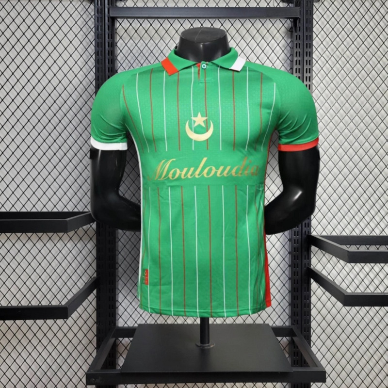 2025/26 Palestine Special Edition Green jersey Player Version
