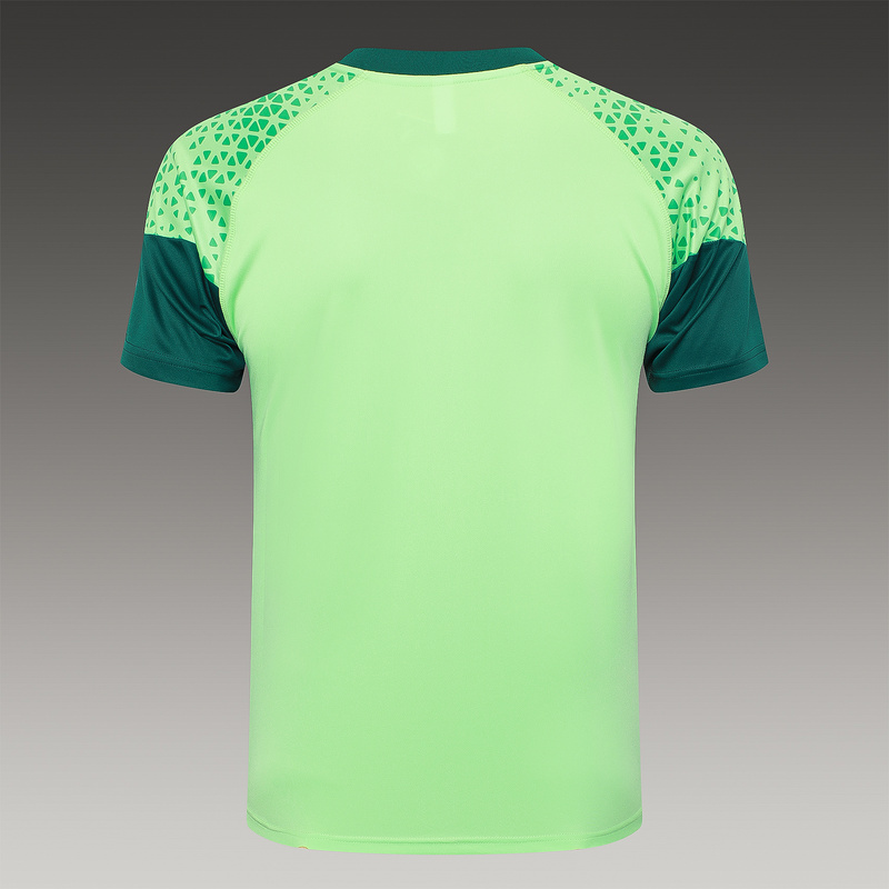 24/25 Palmeiras Green Training Set Shirt and Shorts