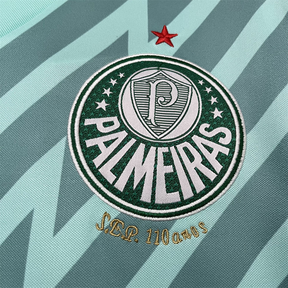 2024/25 Palmeiras Goalkeeper Green jersey Fan Version