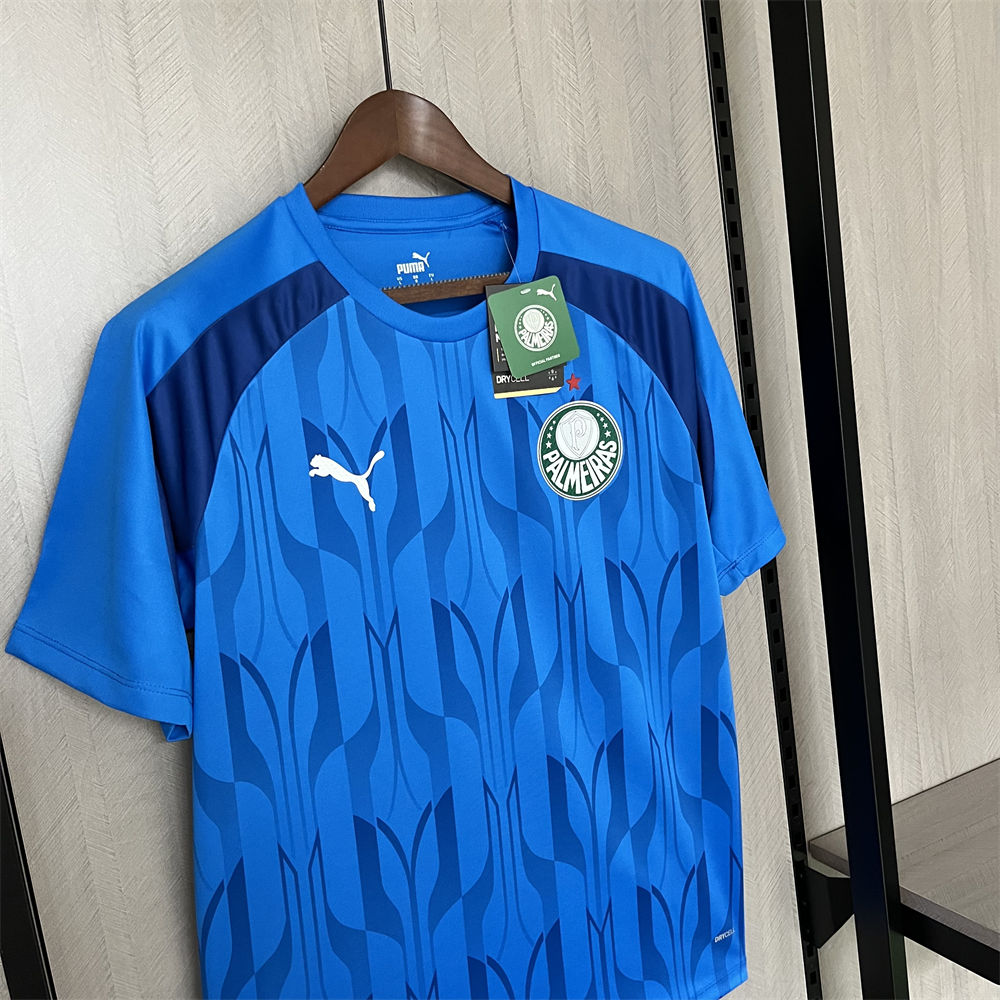 2024/25 Palmeiras Blue Pre-Match Training jersey Fan Version