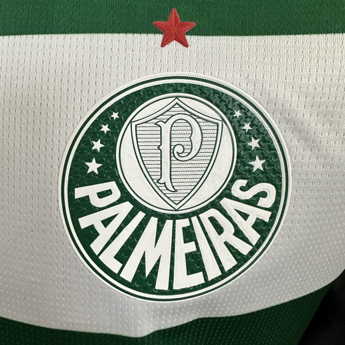 2025/26 Palmeiras Special Edition Green Jersey Player Version