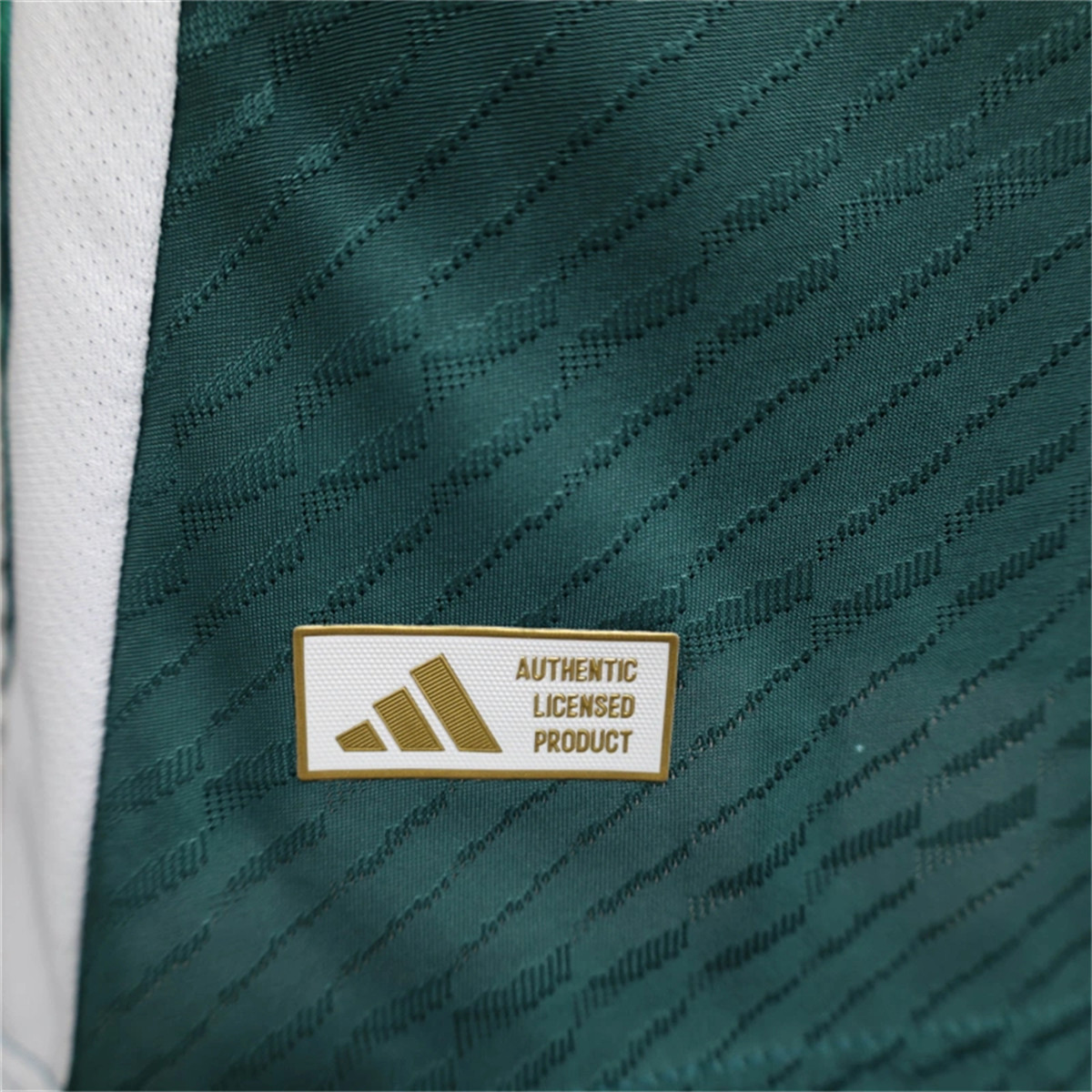 24/25 Italy Euro Pre-Match Training Special edition Jersey Player Version