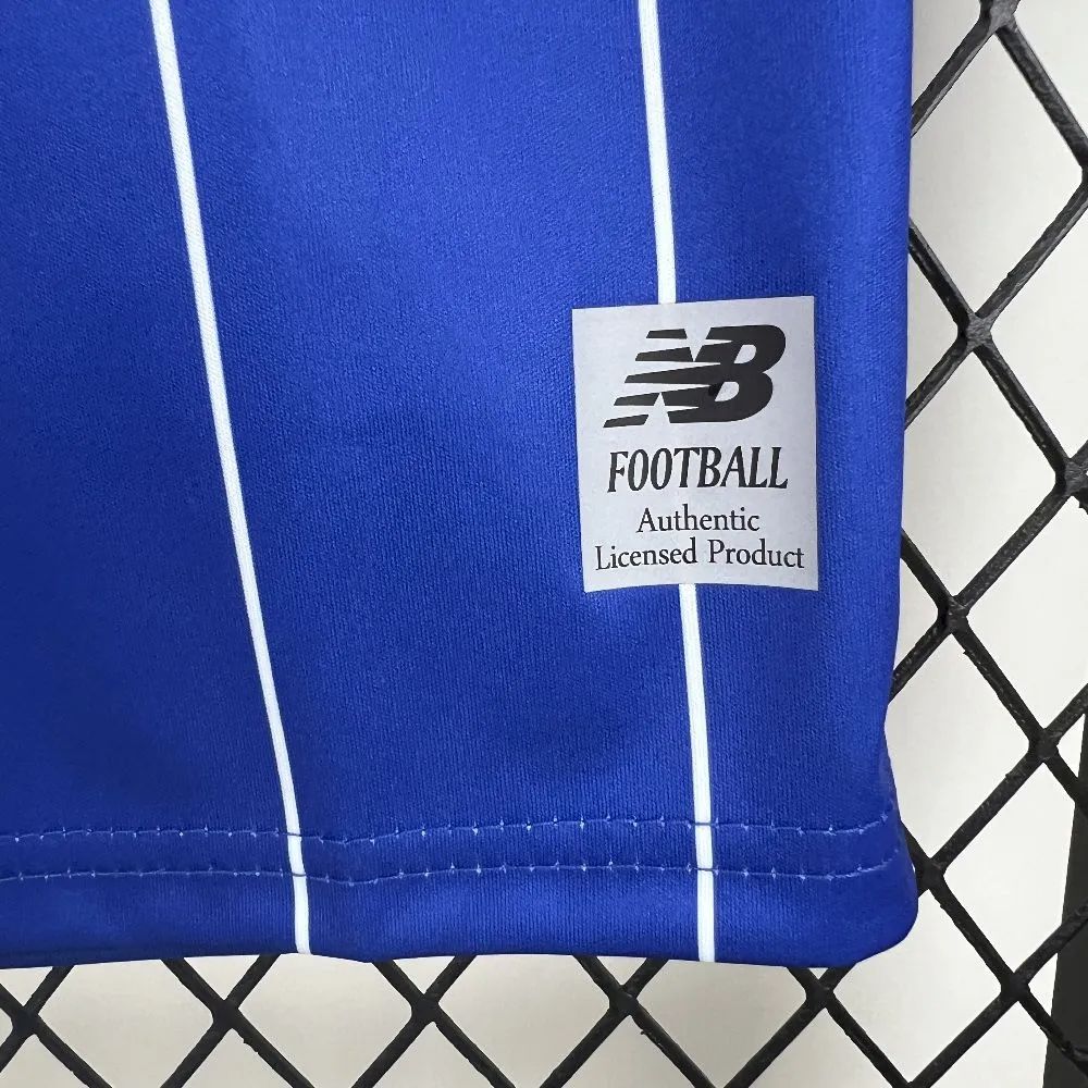 2025/26 Cardiff City F.C. Home  jersey Fan version
