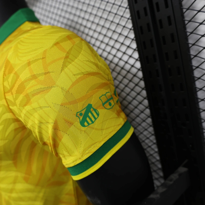 25/26 Brazil Commemorative Edition Jersey Player Version