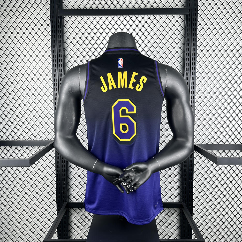 NBA Los Angeles Lakers 24/25 City Edition Purple Jersey JAMES#6 S-XXL