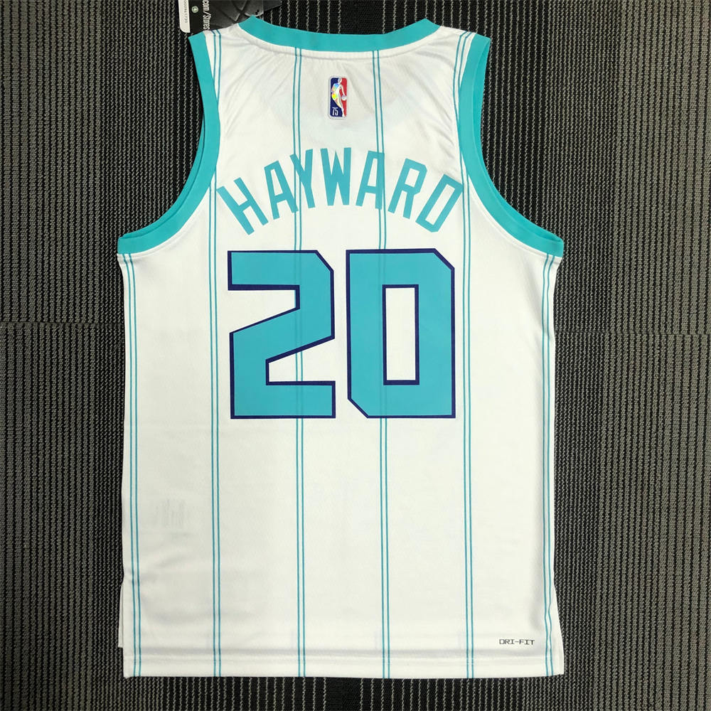 NBA Charlotte Hornets V-Neck White 75th Anniversary Jersey HAYWARD#20 S-XXL