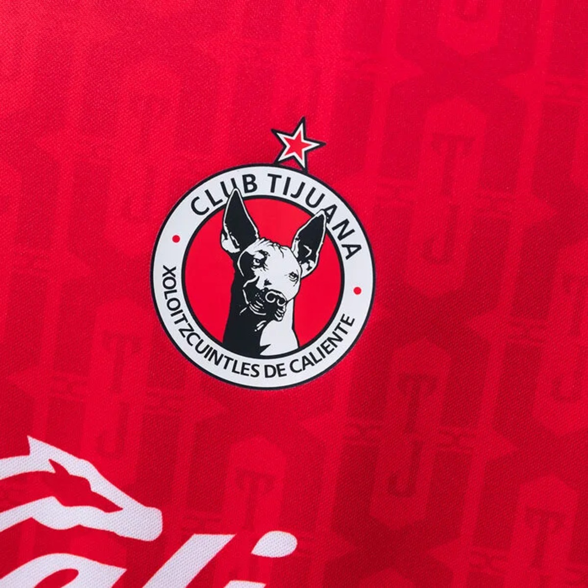 2026/27 Club Tijuana Home Jersey Fan Version