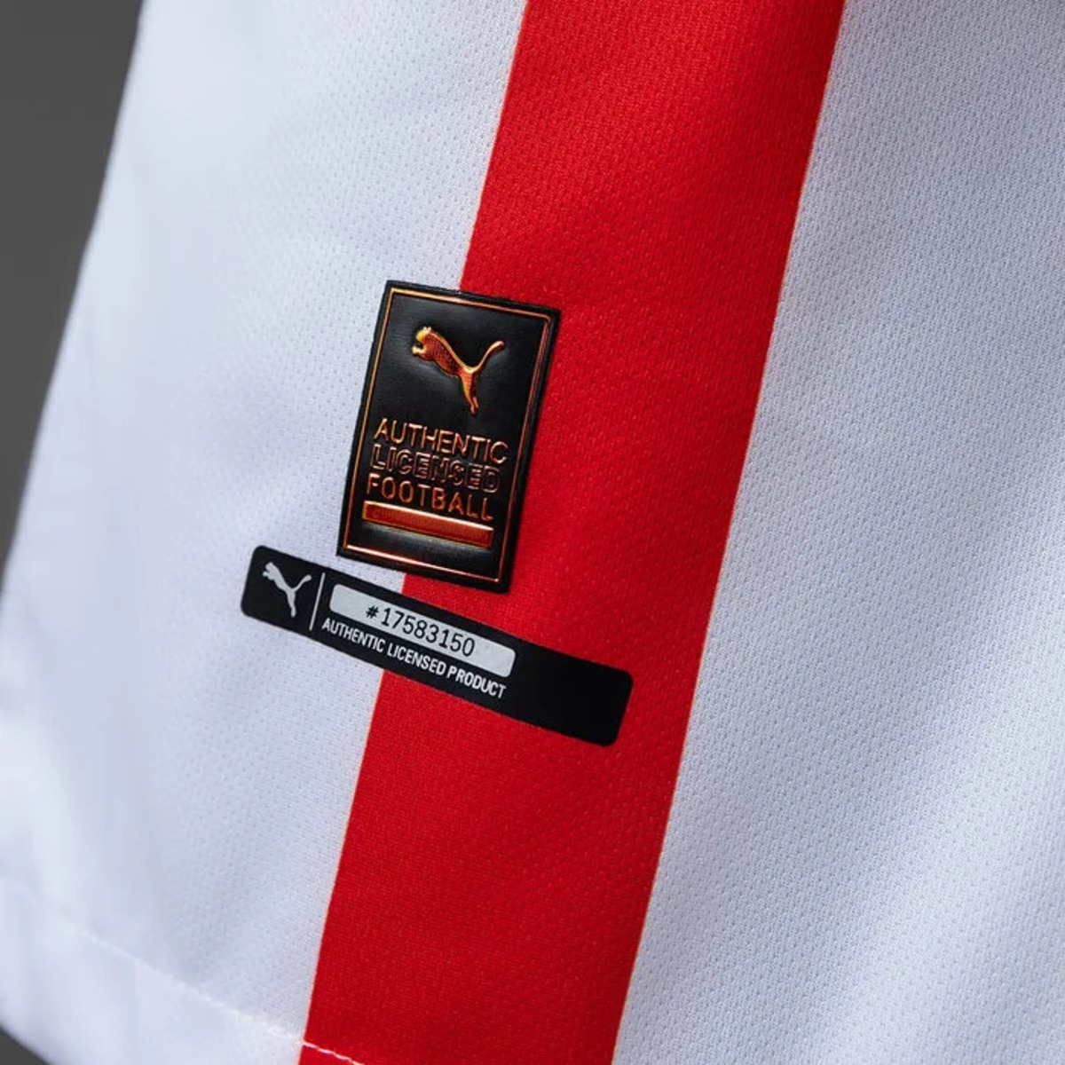 Chivas 120th Aniversario Jersey Fan Version