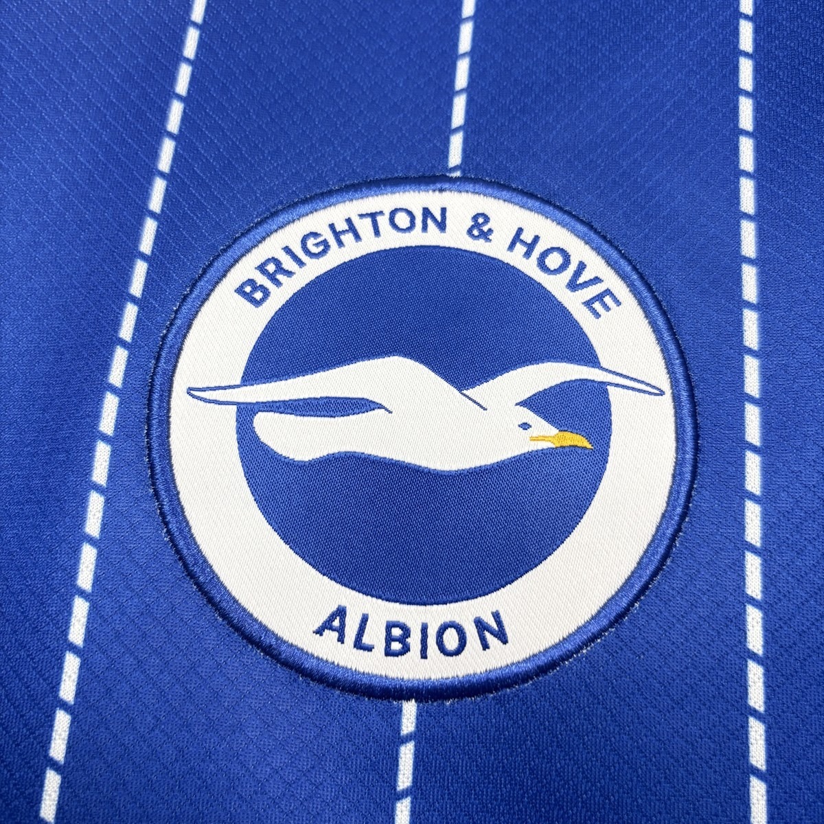 2026/27 Brighton & Hove Albion Home Jersey Fan Version