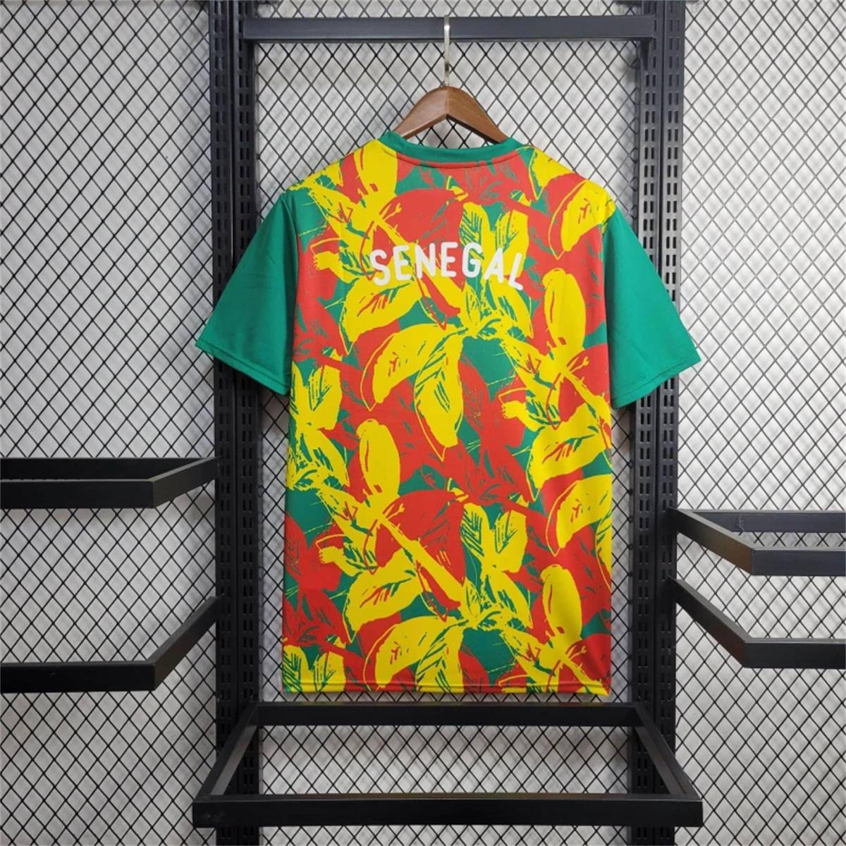 2024/25 Senegal Pre-match training shirt Jersey Fan Version