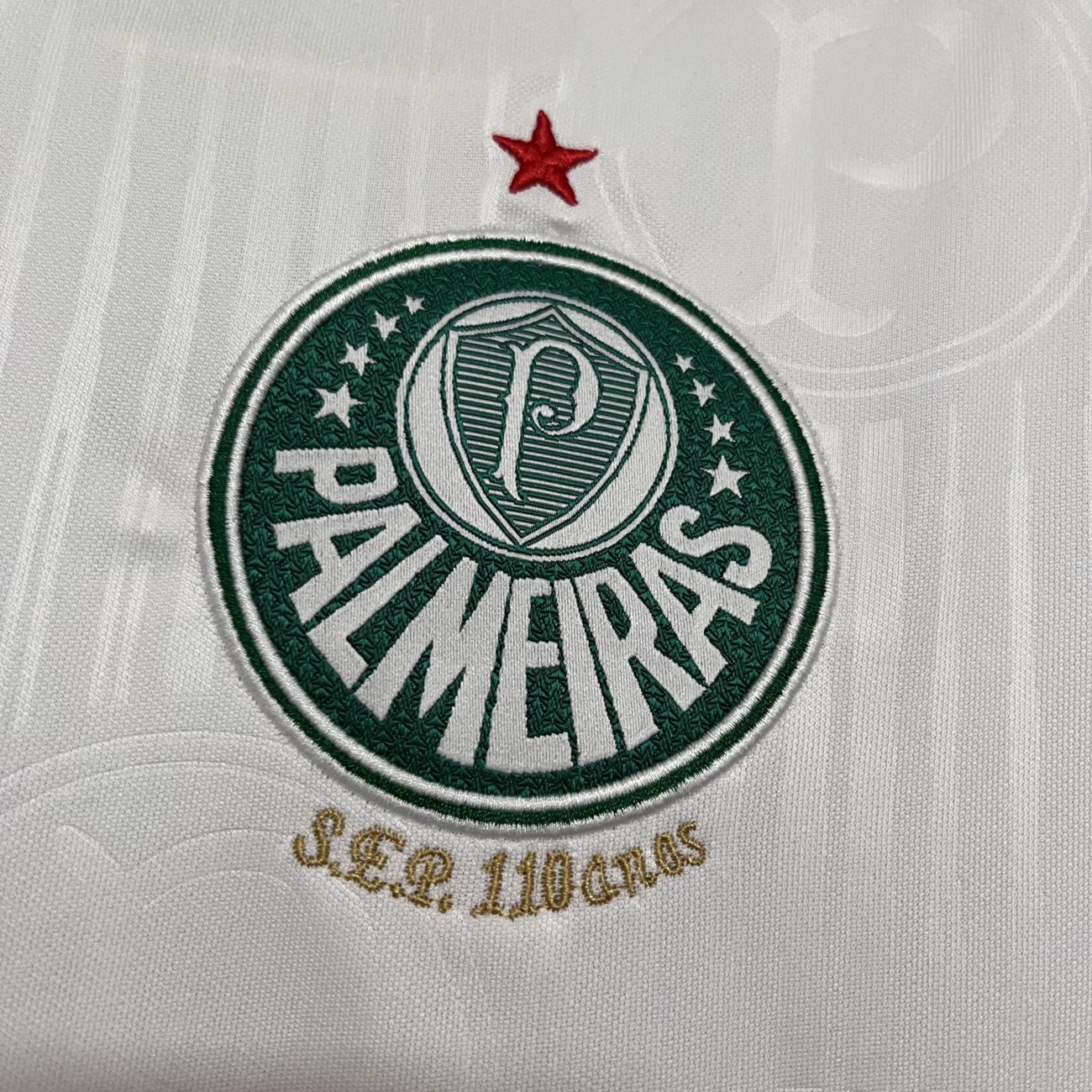 Women's 2024/25 Palmeiras Away Jersey