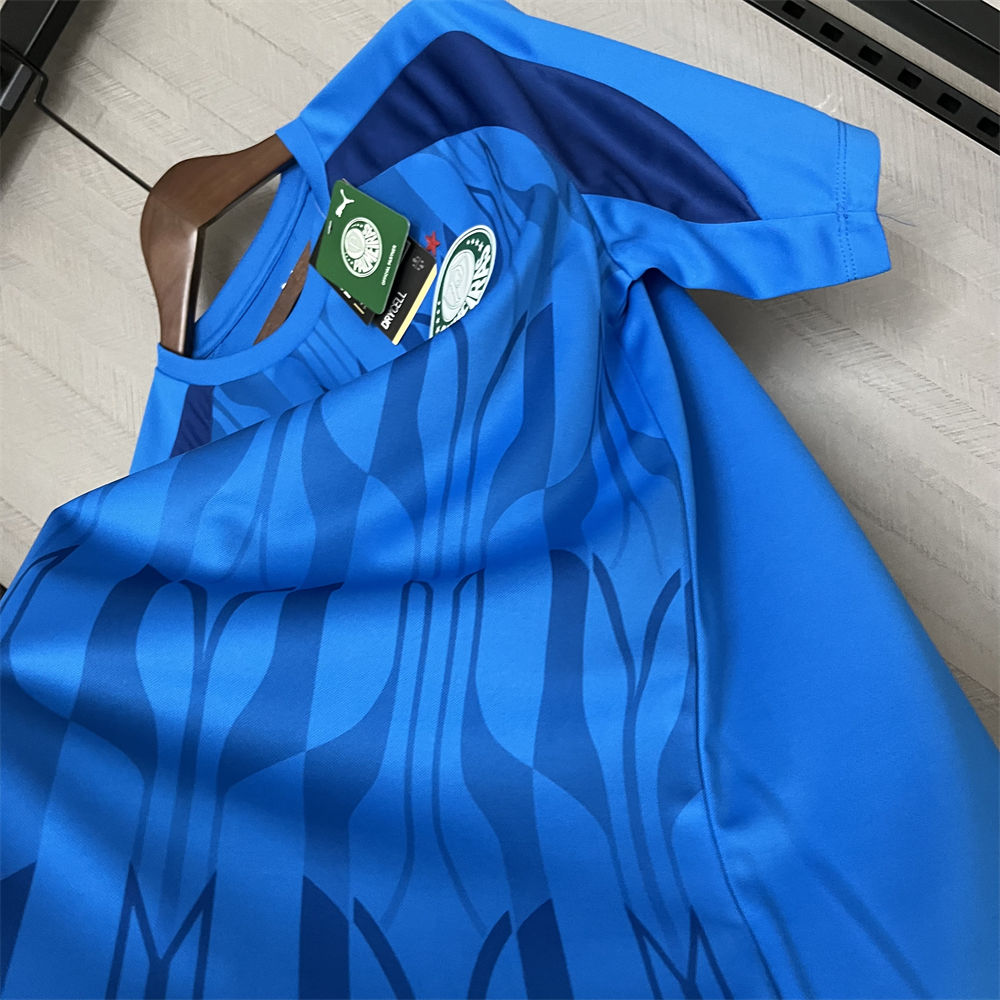 2024/25 Palmeiras Blue Pre-Match Training jersey Fan Version
