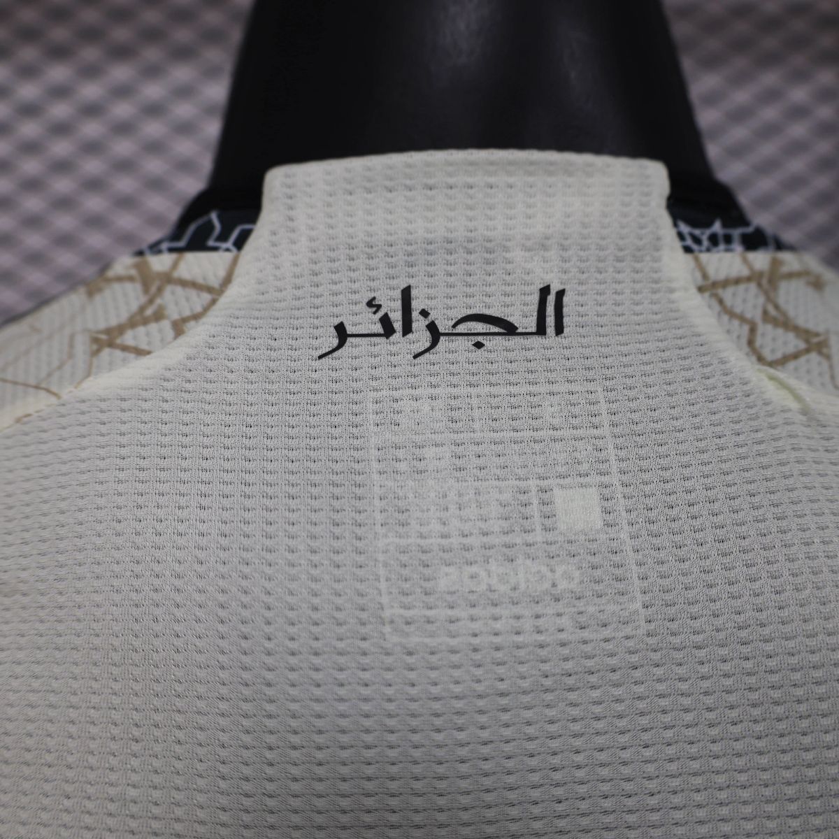 2025/26 Algeria Special Edition White jersey Player Version