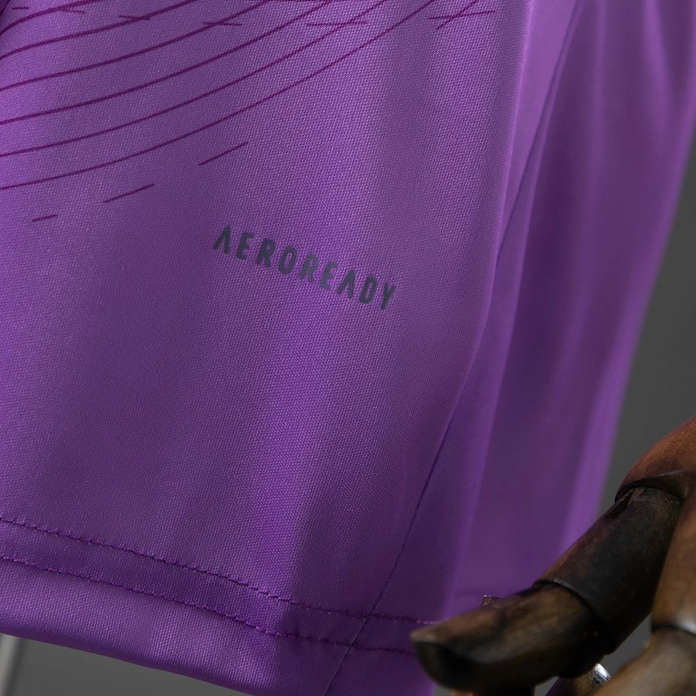 2025/26 Colo Colo Goalkeeper Purple Jersey Fan Version