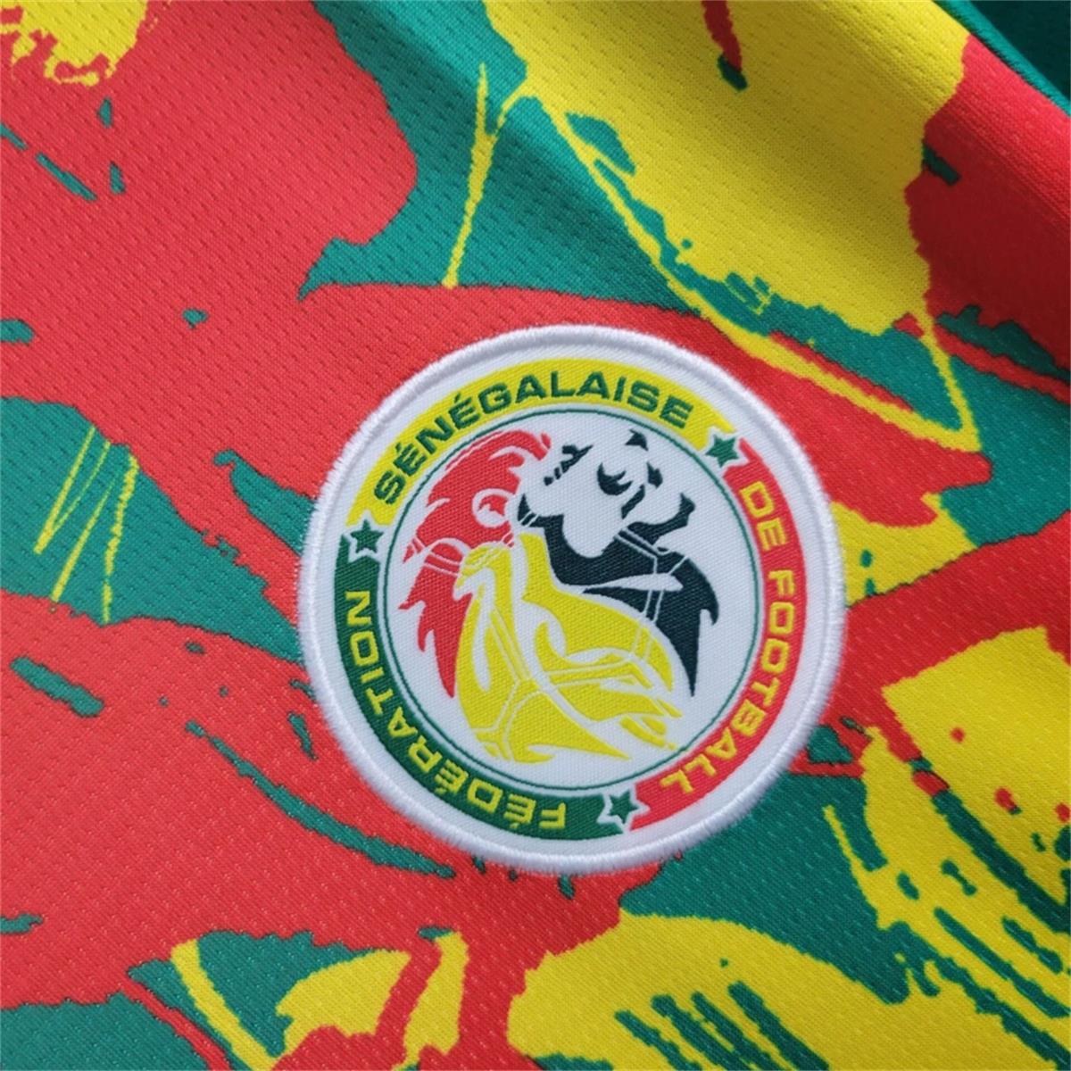 2024/25 Senegal Pre-match training shirt Jersey Fan Version