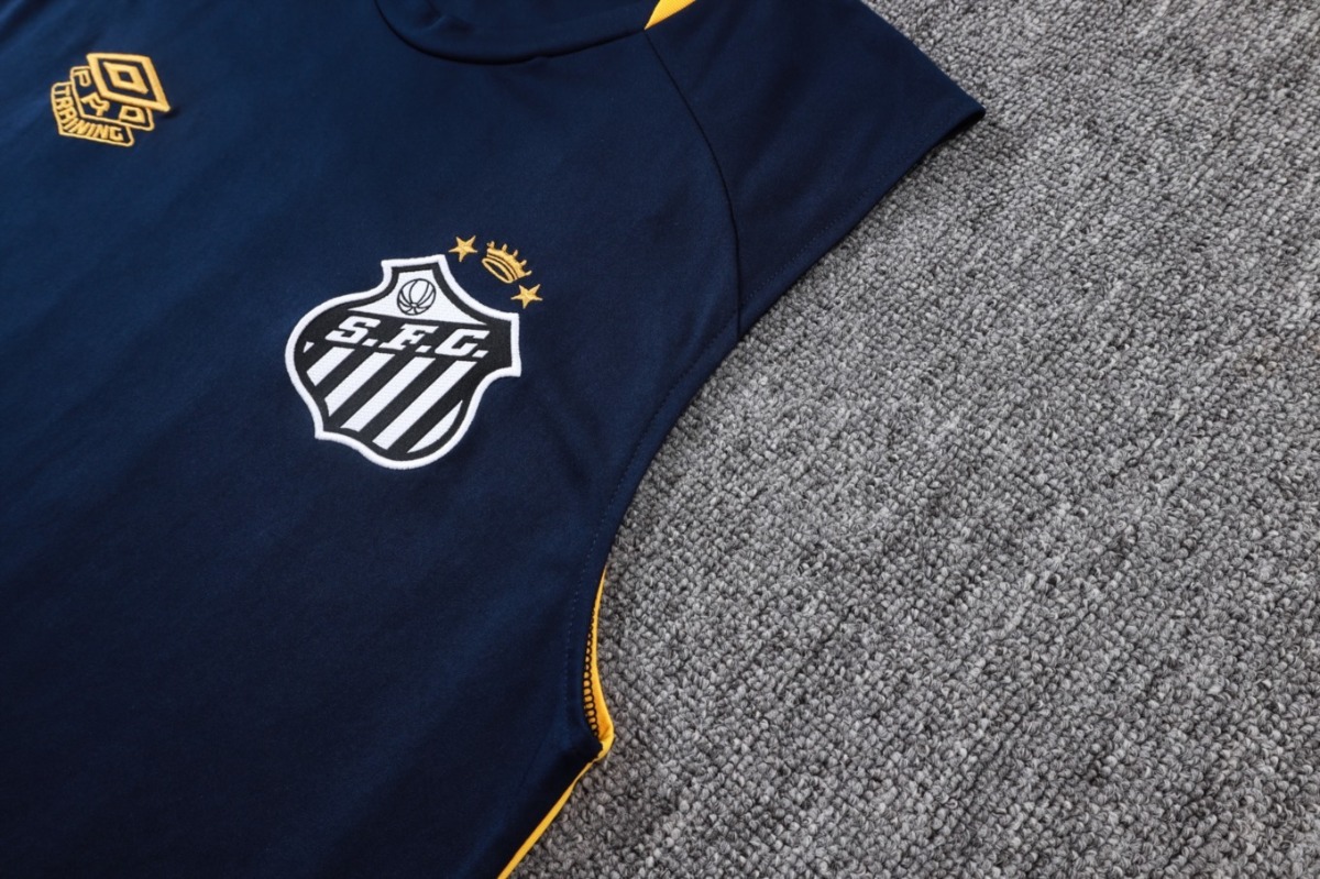 2026 Santos Cyan Training Set Shirt and Shorts