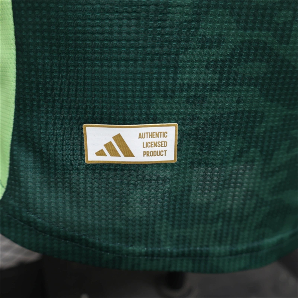 24/25 Argelia Away Special edition Jersey Player Version