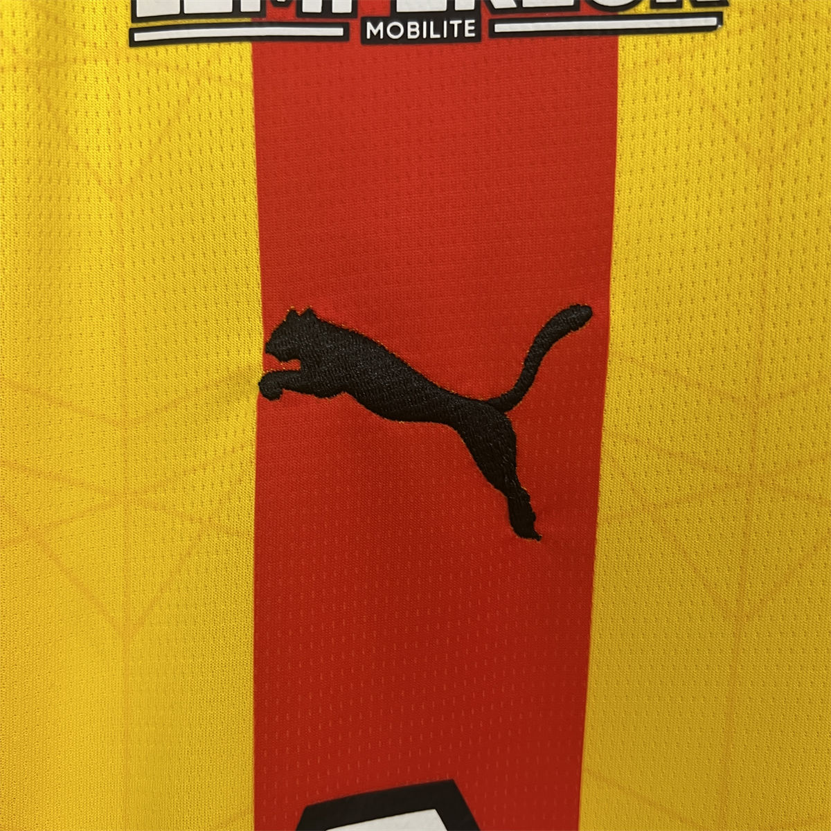 24/25 Lens Home Jersey Fan Version