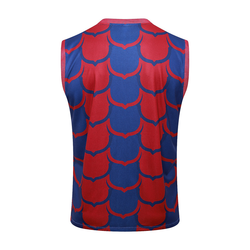 24/25 Barcelona Red Blue Training Set Shirt and Shorts