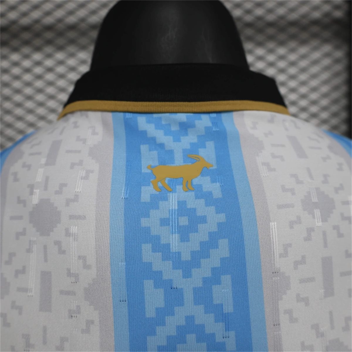 25/26 Argentina Special edition jersey Player Version