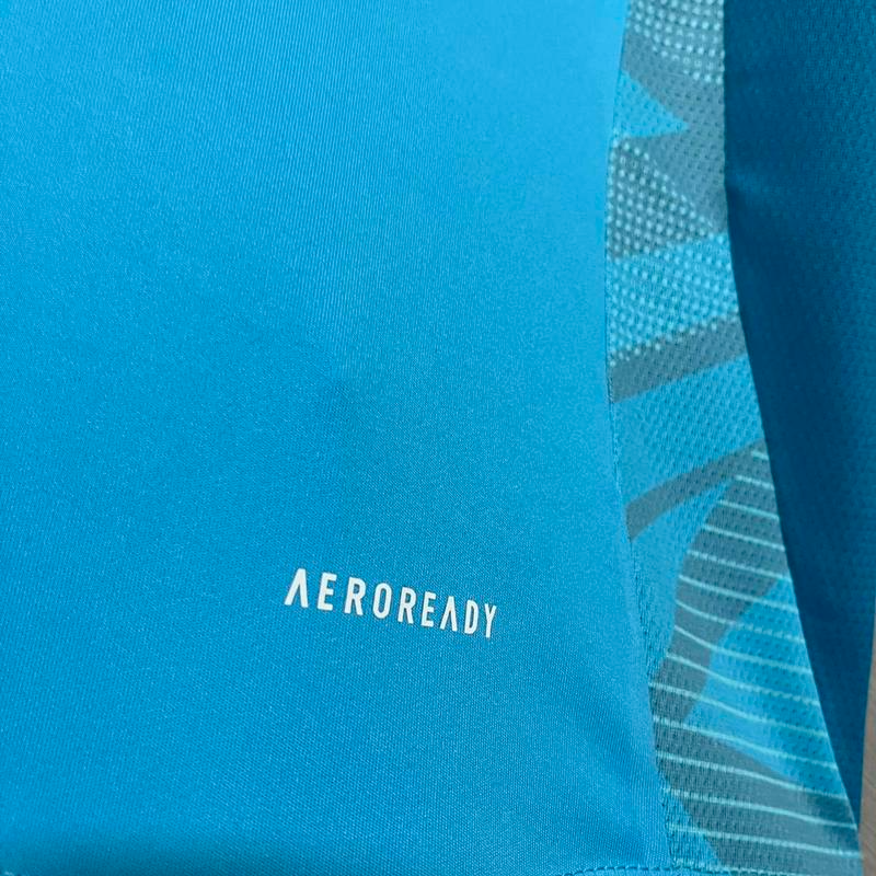 2025/26 Flamengo Training Jersey Light Blue Jersey Fan Version