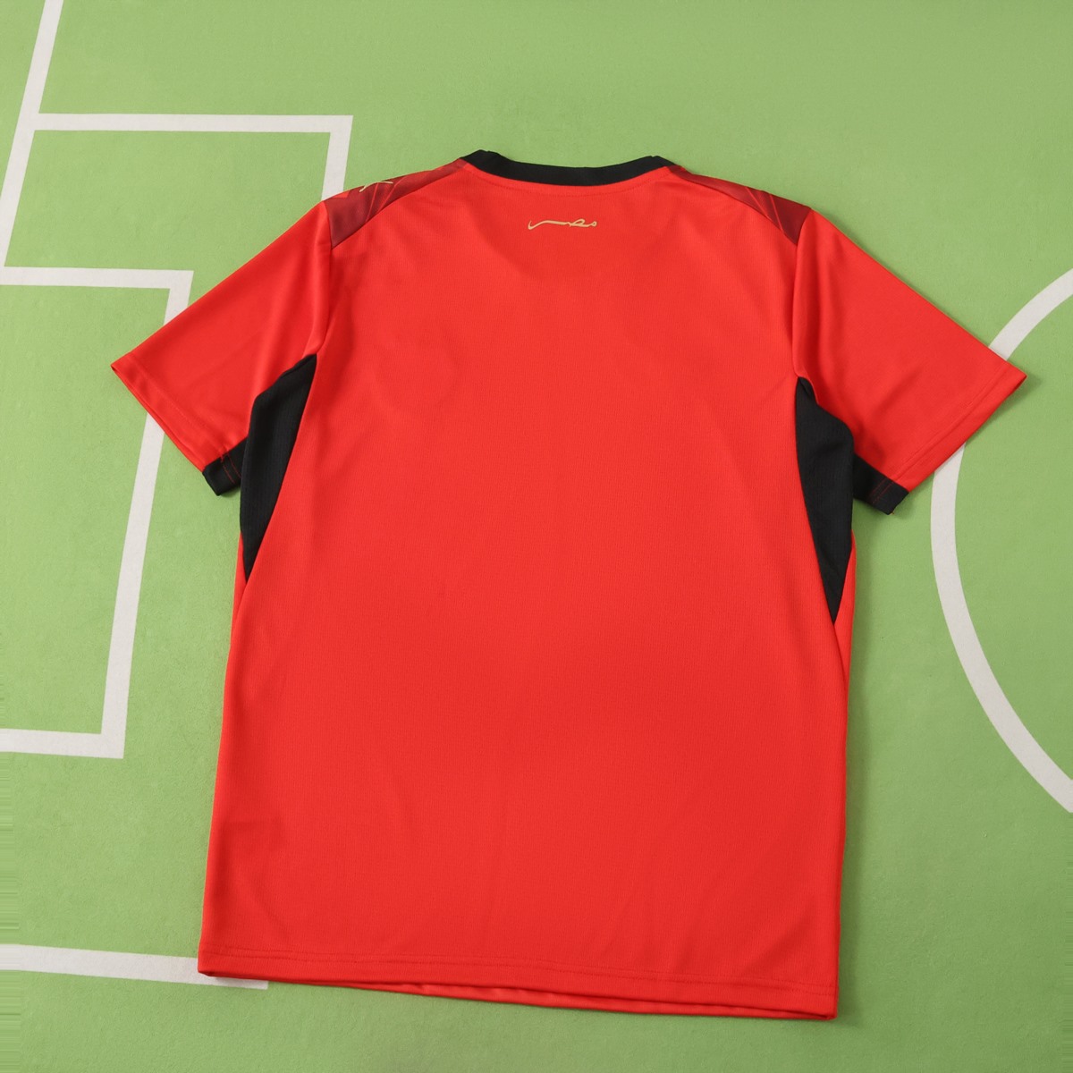 Egypt 2026 Wolrd Cup Home Jersey Fan Version