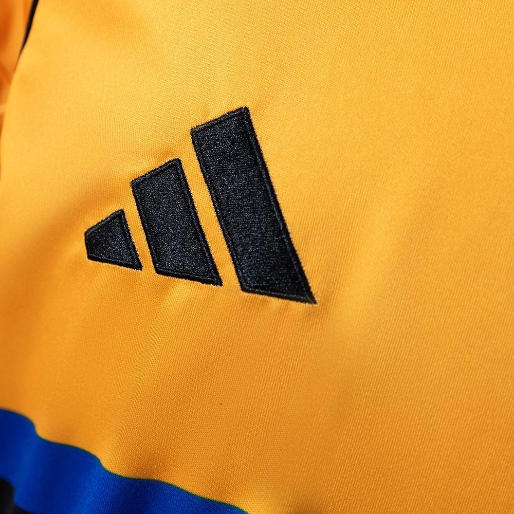2025/26 Pisa Away jersey Fan version