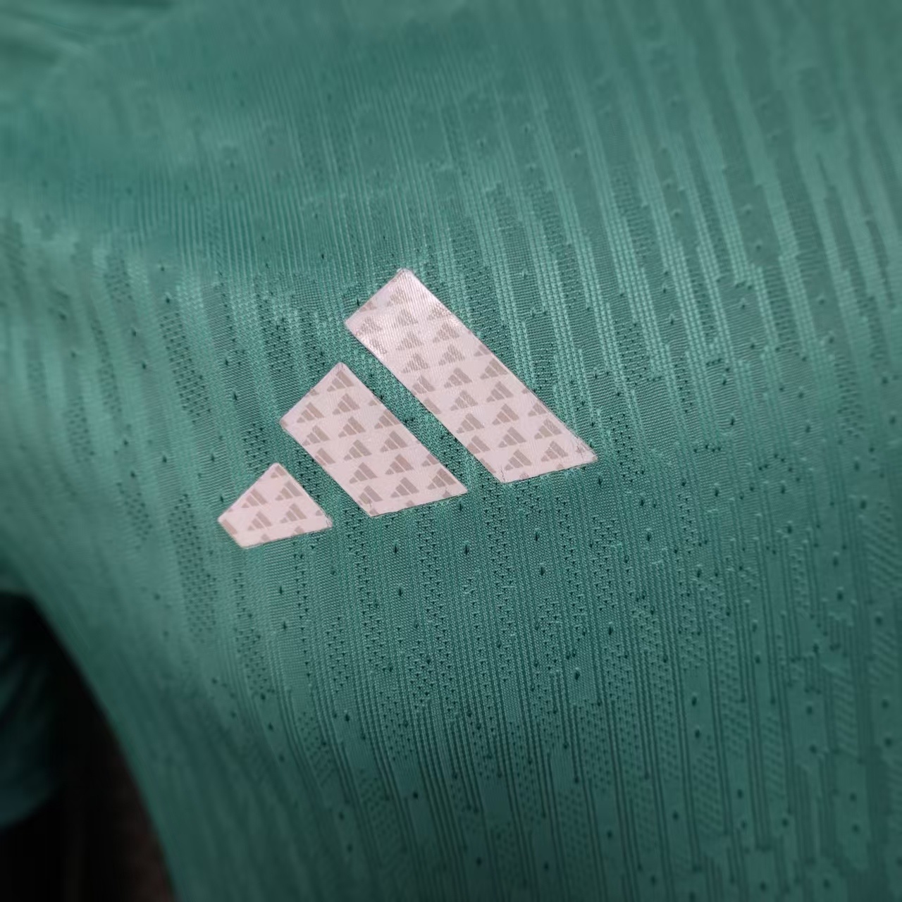 Germany 2026 World Cup Goalkeeper Green jersey Player Version