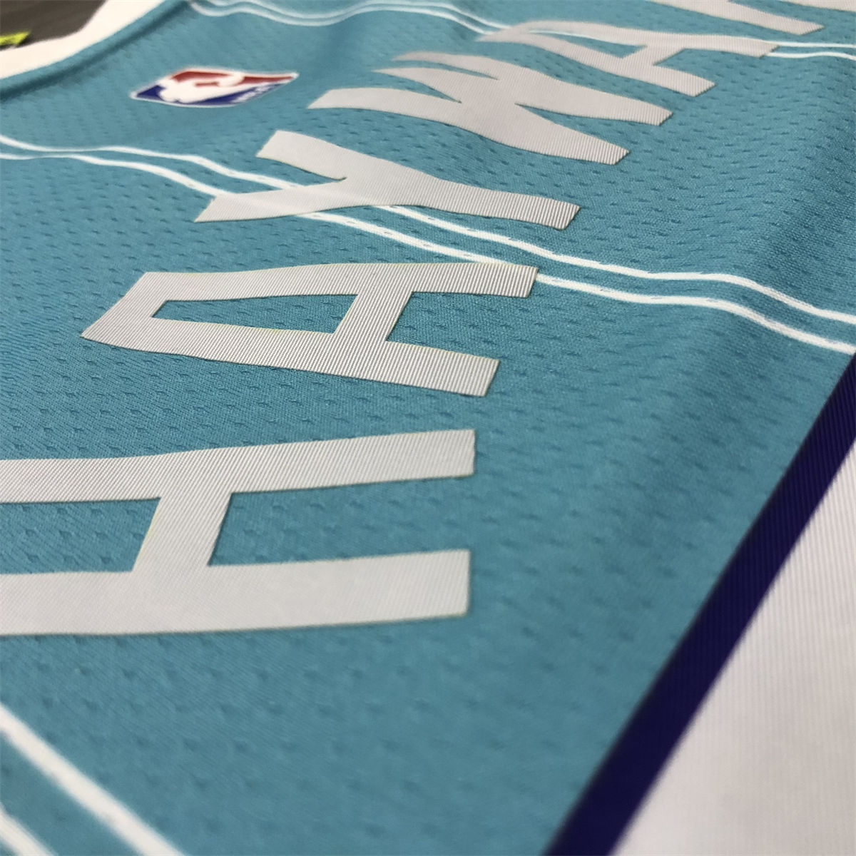 NBA Charlotte Hornets V-Neck Light Blue Jersey HAYWARD#20 S-XXL