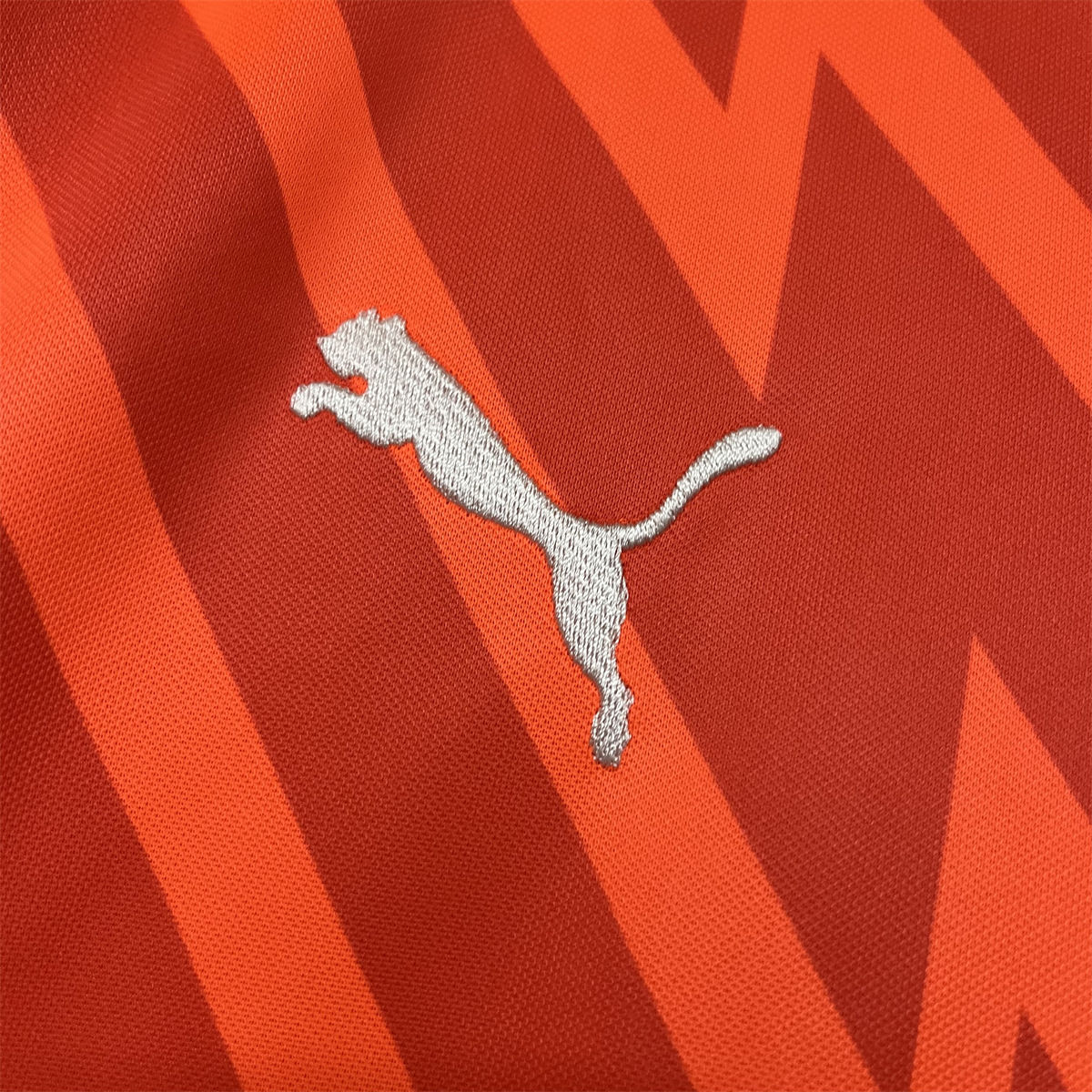2024/25 Palmeiras Goalkeeper Orange jersey Fan Version