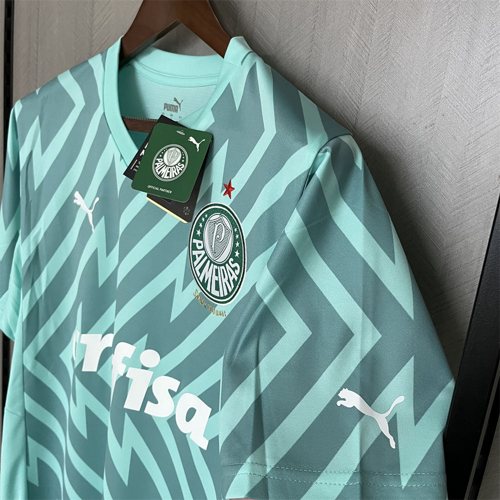 2024/25 Palmeiras Goalkeeper Green jersey Fan Version