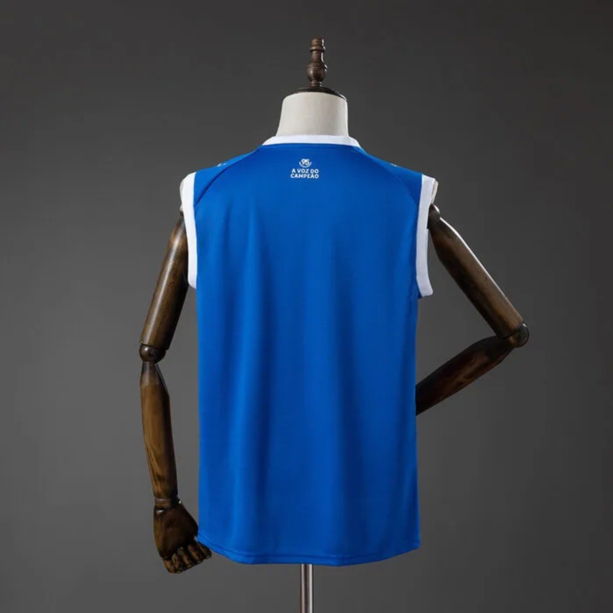 2026/27 Bahia Away Vest Fan Version