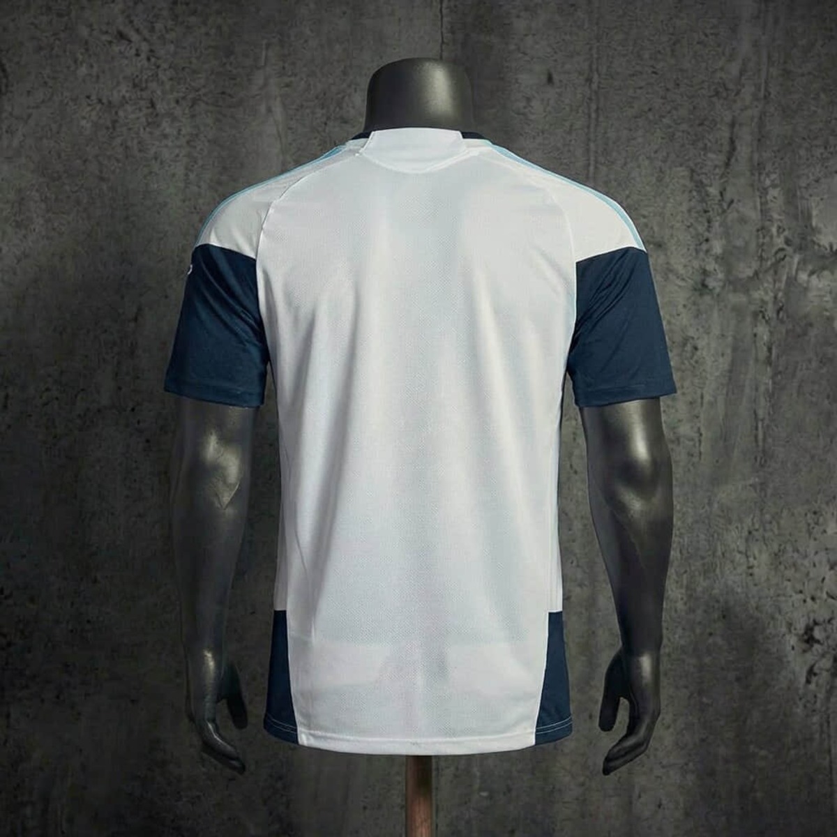 Argentina 2026 World Cup Training White jersey Fan version