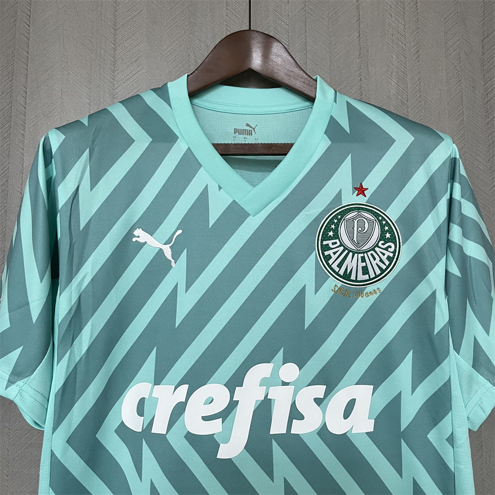 2024/25 Palmeiras Goalkeeper Green jersey Fan Version