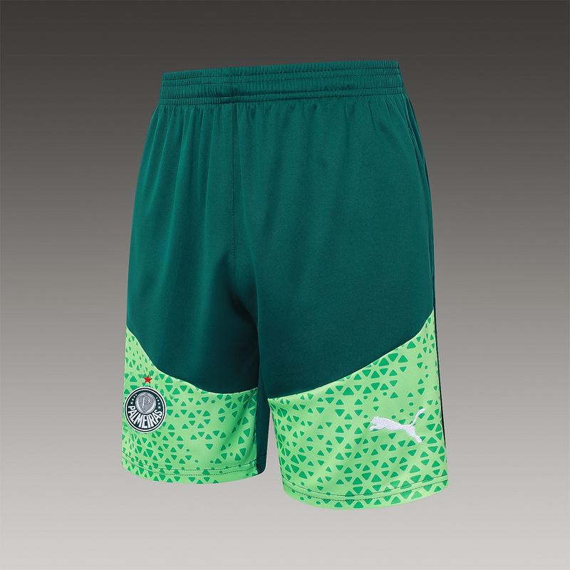 24/25 Palmeiras Green Training Set Shirt and Shorts