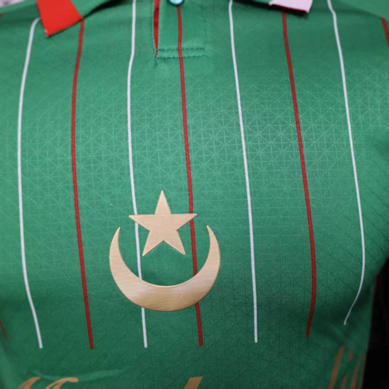 2025/26 Palestine Special Edition Green jersey Player Version