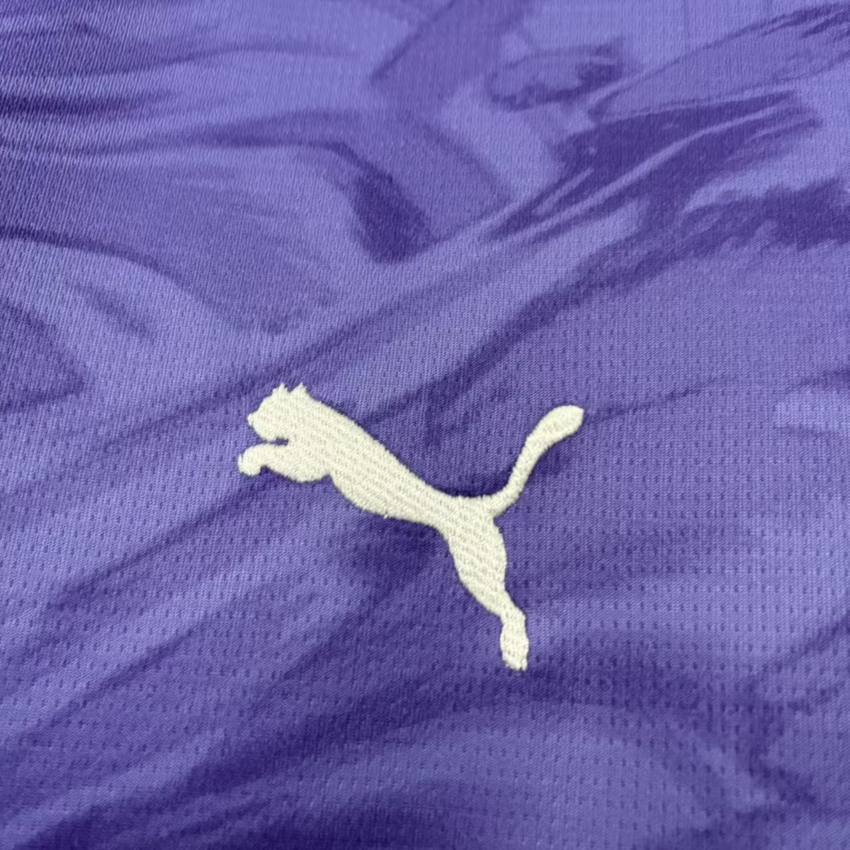 2026/27 Bahia Goalkeeper Purple Jersey Fan Version
