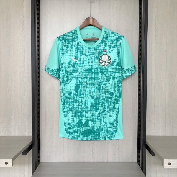 2026/27 Palmeiras Goalkeeper Green Jersey Fan Version