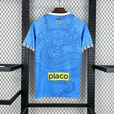 2025/26 Santos Blue Dragon Special Edition jersey Fan version