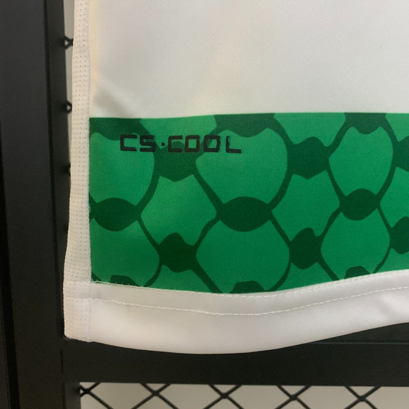 2025/26 Palestinian III Jersey Fan Version