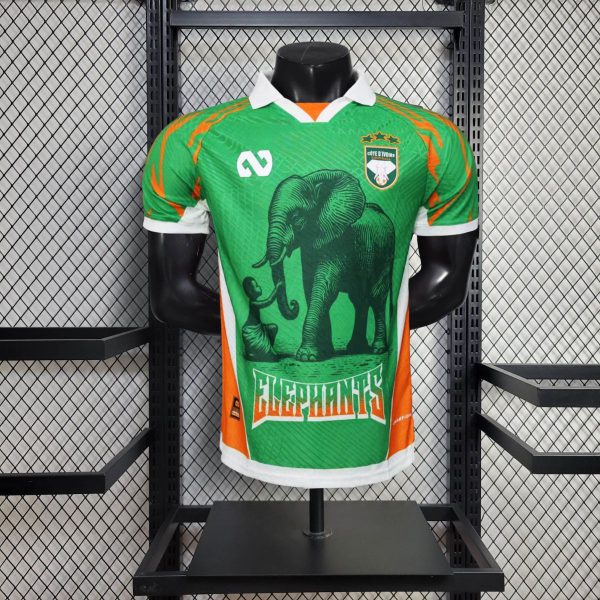 2025/26 Ivory Coast Special edition Green Jersey Player Version
