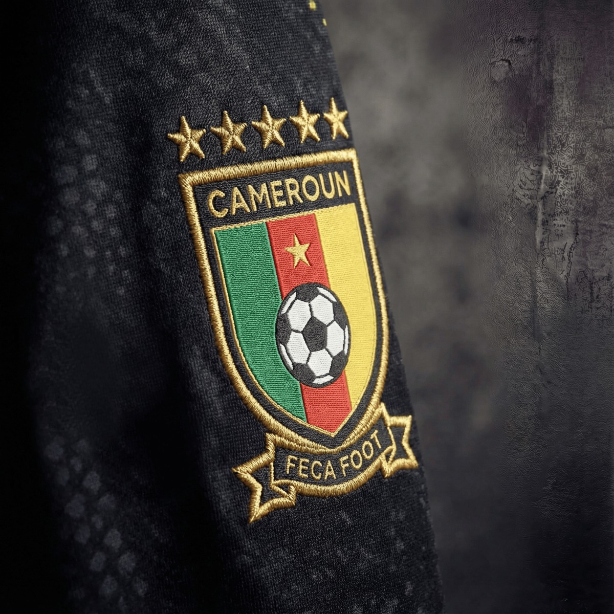 2026 Cameroon Special Edition Black Jersey Fan Version