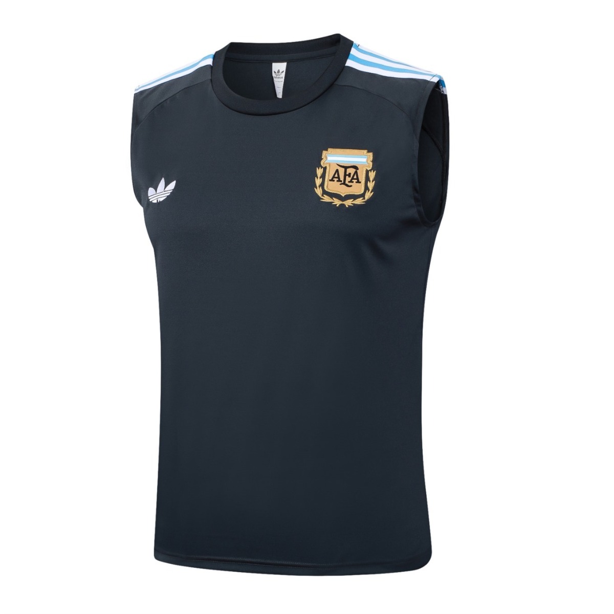 2026 Argentina Dark gray Training Set Shirt and Shorts
