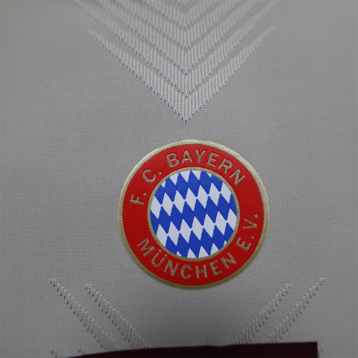 24/25 Bayern Munich Training Special edition Jersey Player Version