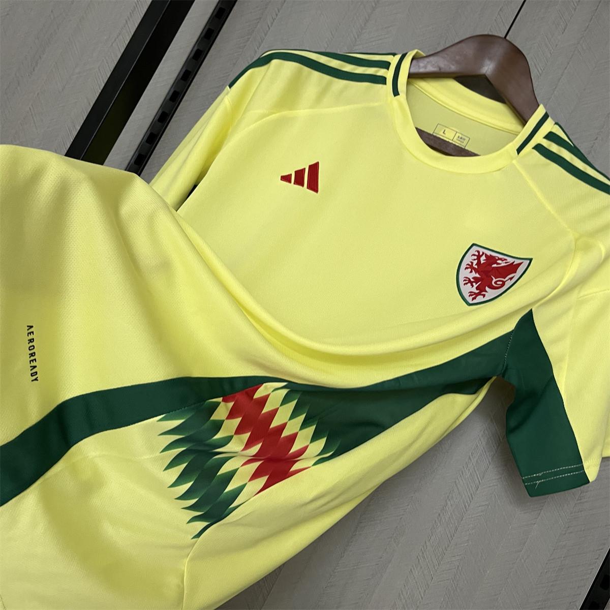 2024/25 Wales Away Jersey Fan Version